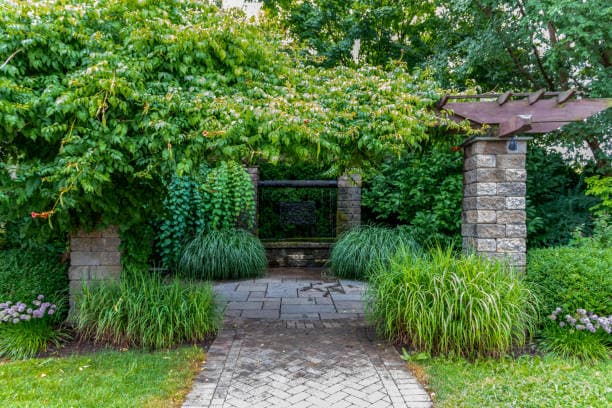 Service Background Service Background